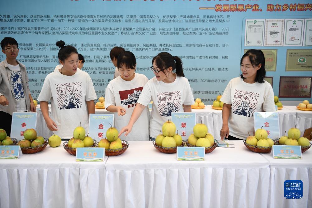 娱乐网站排行榜
